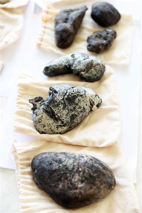 Rare, precious, smells like whale: hunting for ambergris in New .